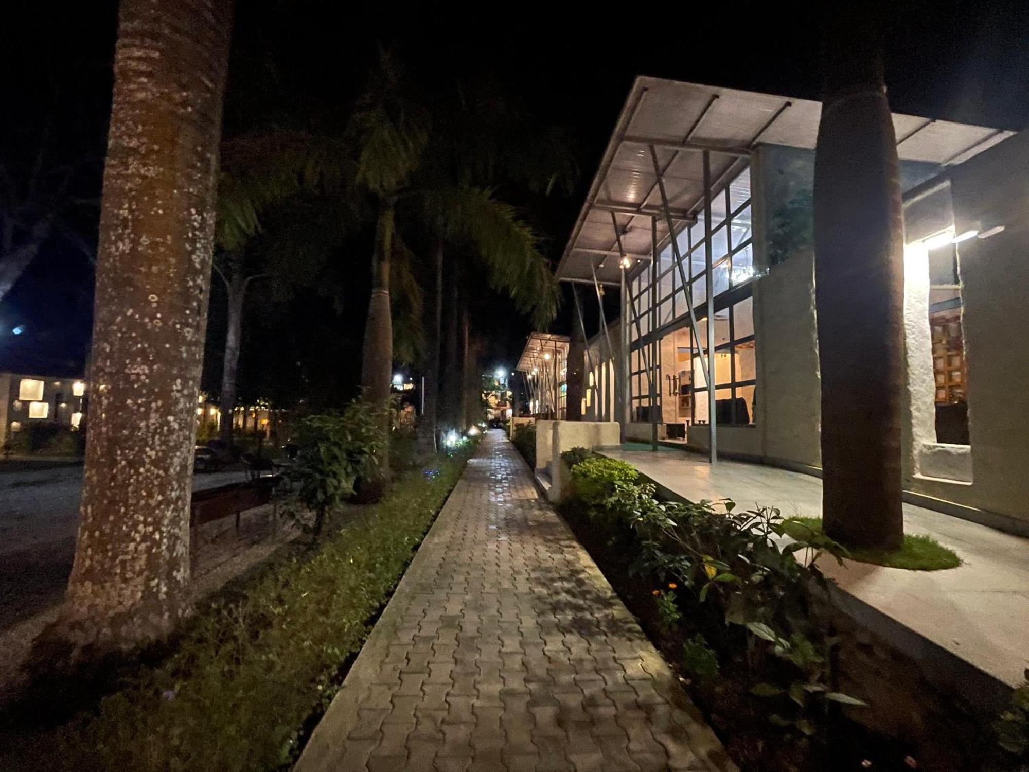 Royal Tiger Luxury Resort 4 Star ソーラハ エクステリア 写真
